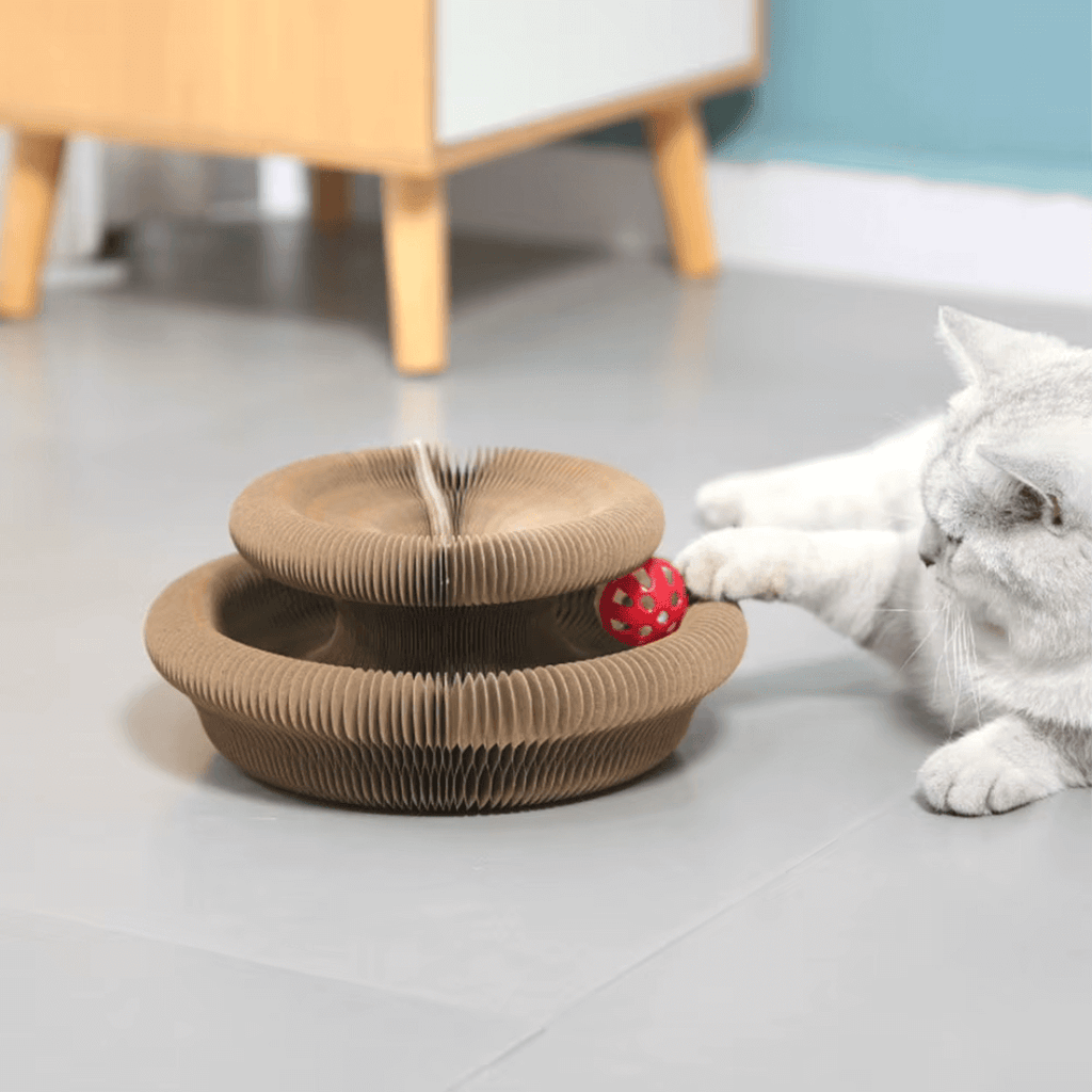 KATZEN GLÜCK Kratztunnel -  Flexibel, Katzenspielzeug, Krallenpflege, Beschäftigung
