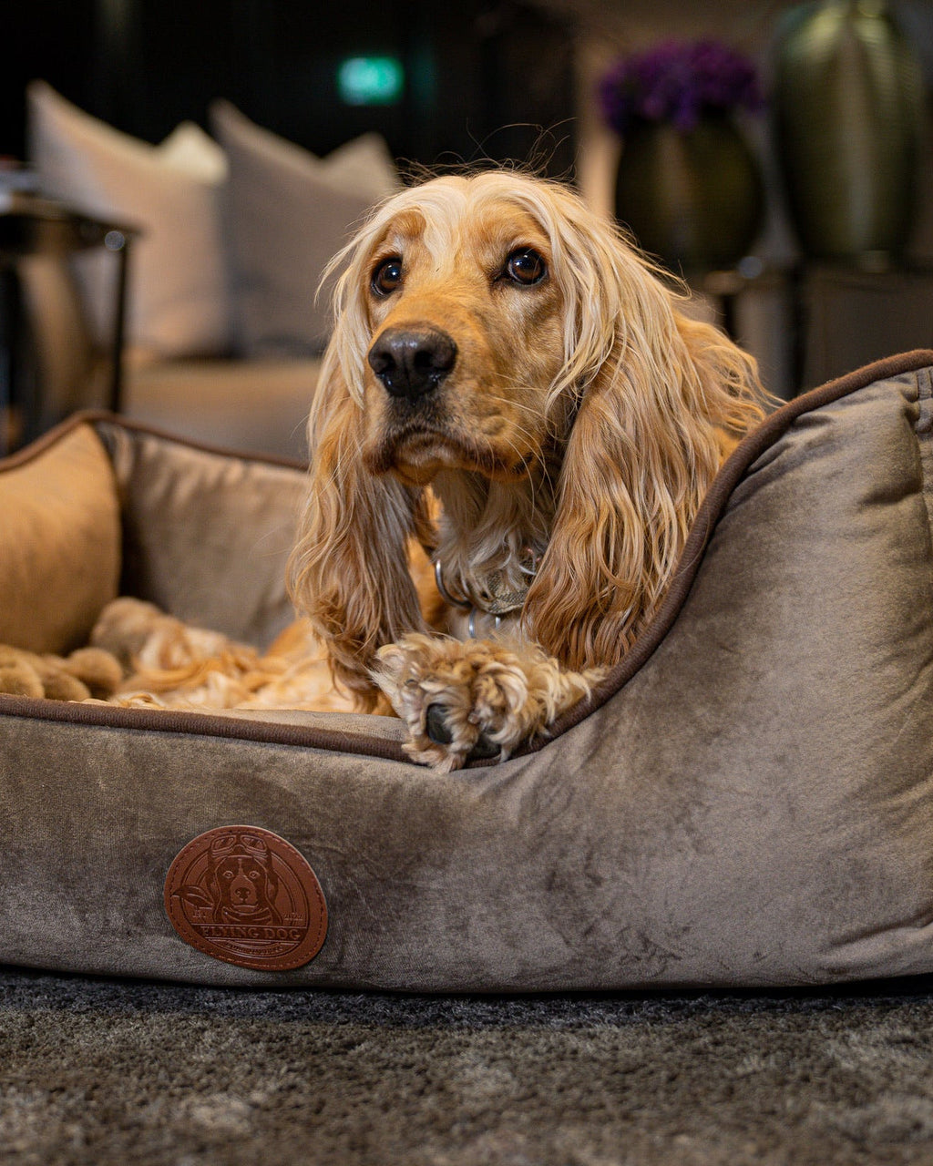 Hundebett Henri