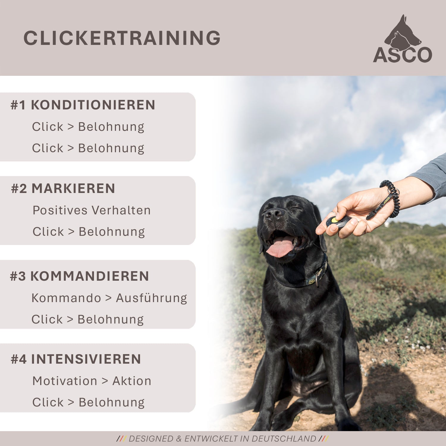 ASCO Target Stick - Hunde und Katzen Teleskopstab mit Softball