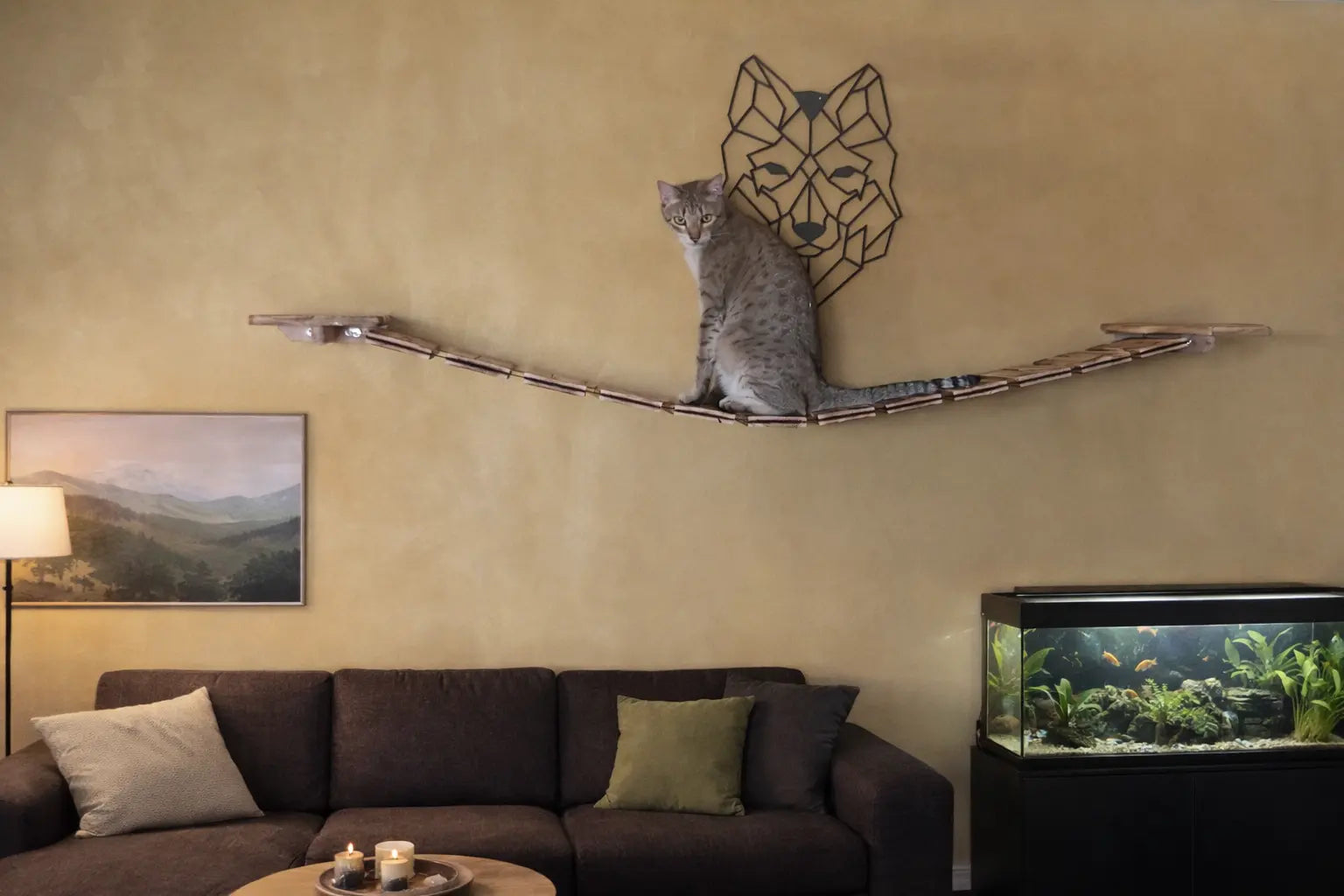 Wandpark Main Coon Abgeflammt