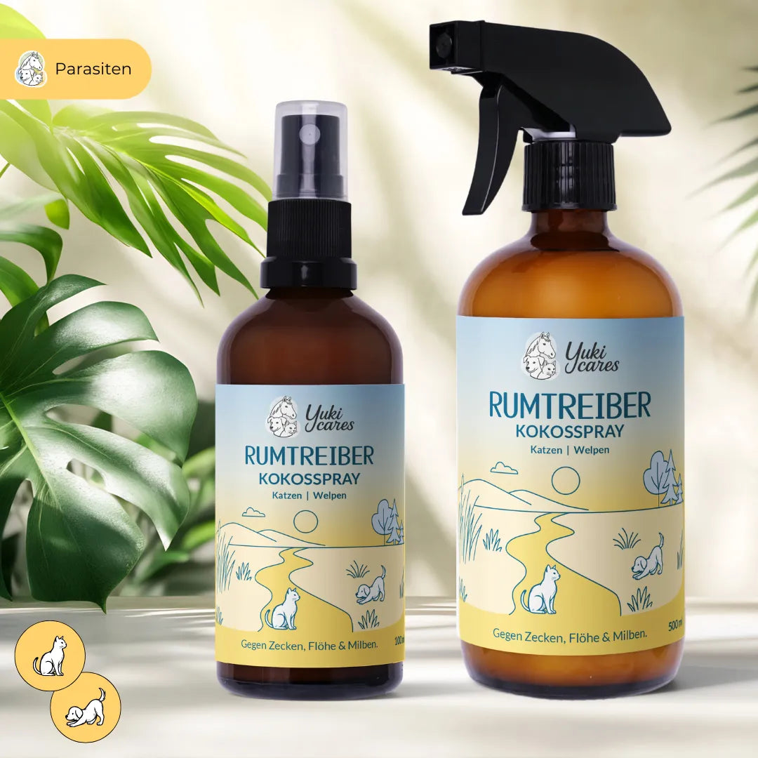 Kokos Spray Rumtreiber - sanfter Zeckenschutz für Katzen & Welpen