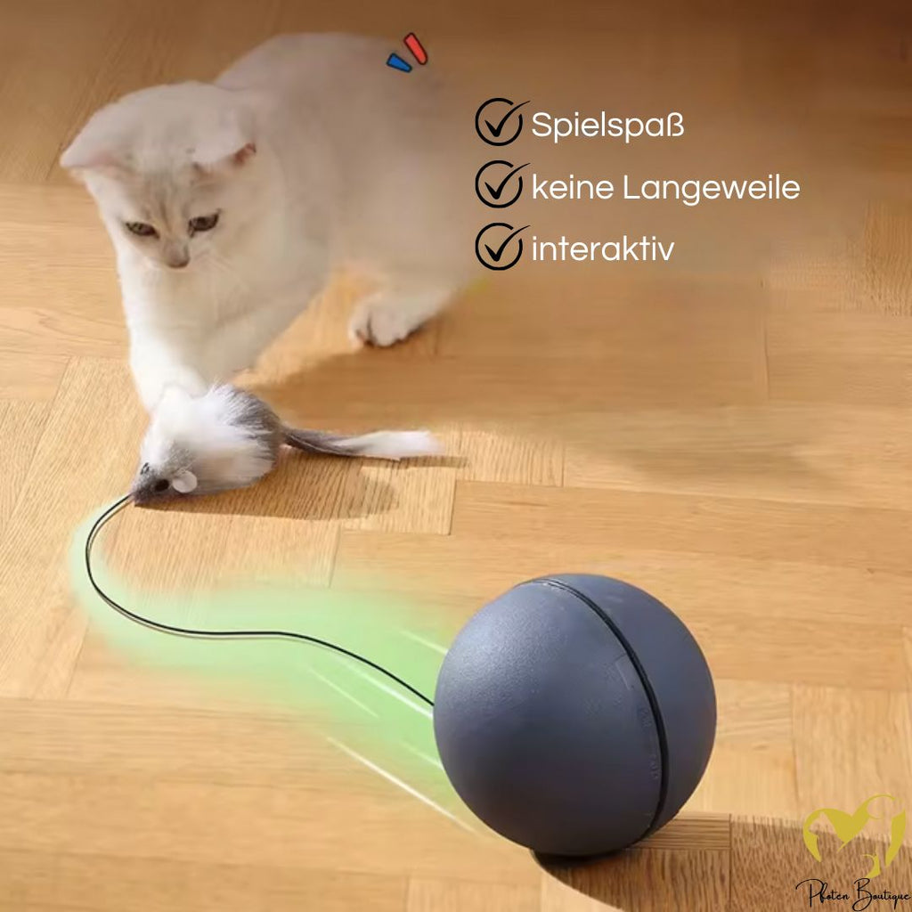 MAUSBALL - interaktives Katzenspielzeug, Ball für Katzen, Selbstbeschäftigung & Bewegung