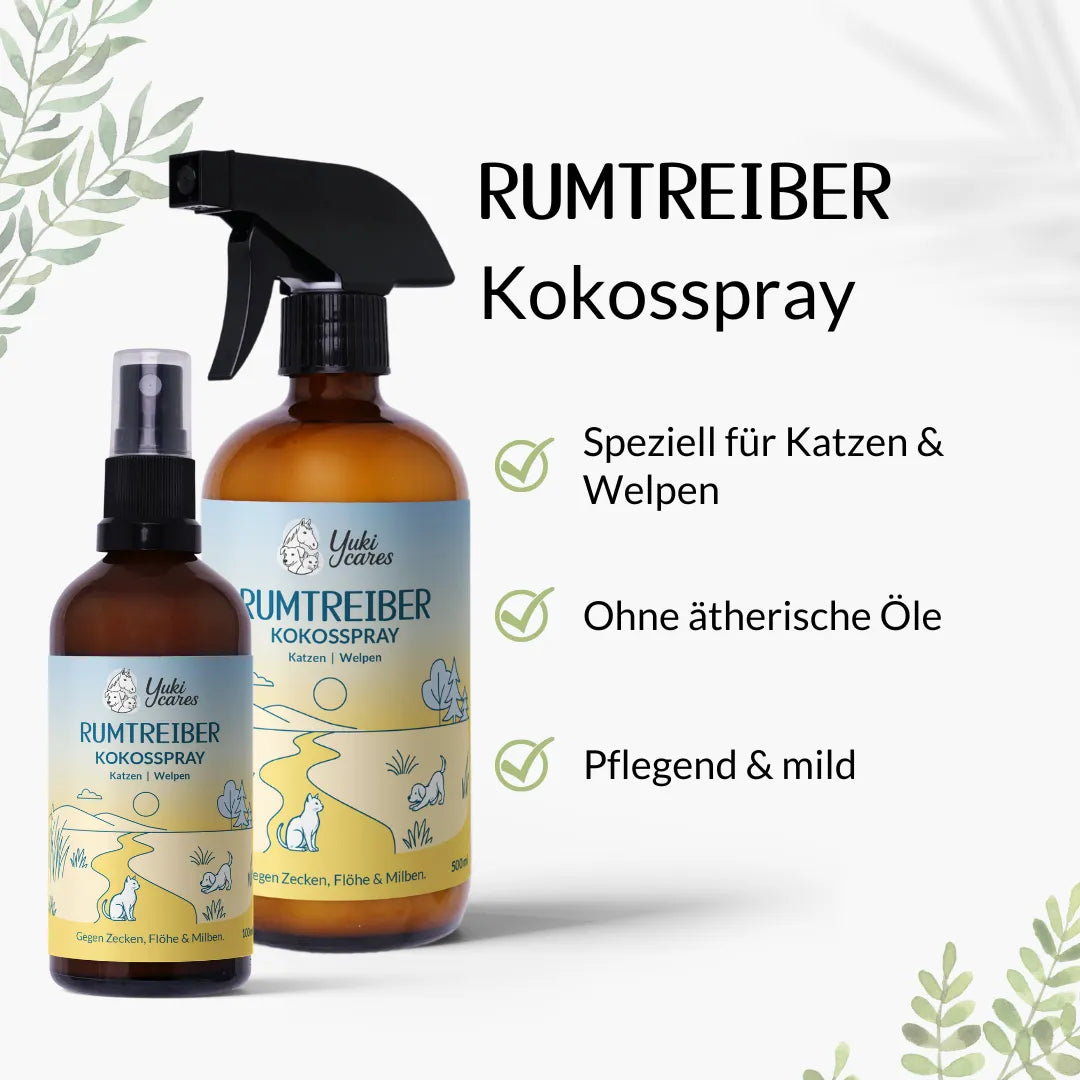 Kokos Spray Rumtreiber - sanfter Zeckenschutz für Katzen & Welpen