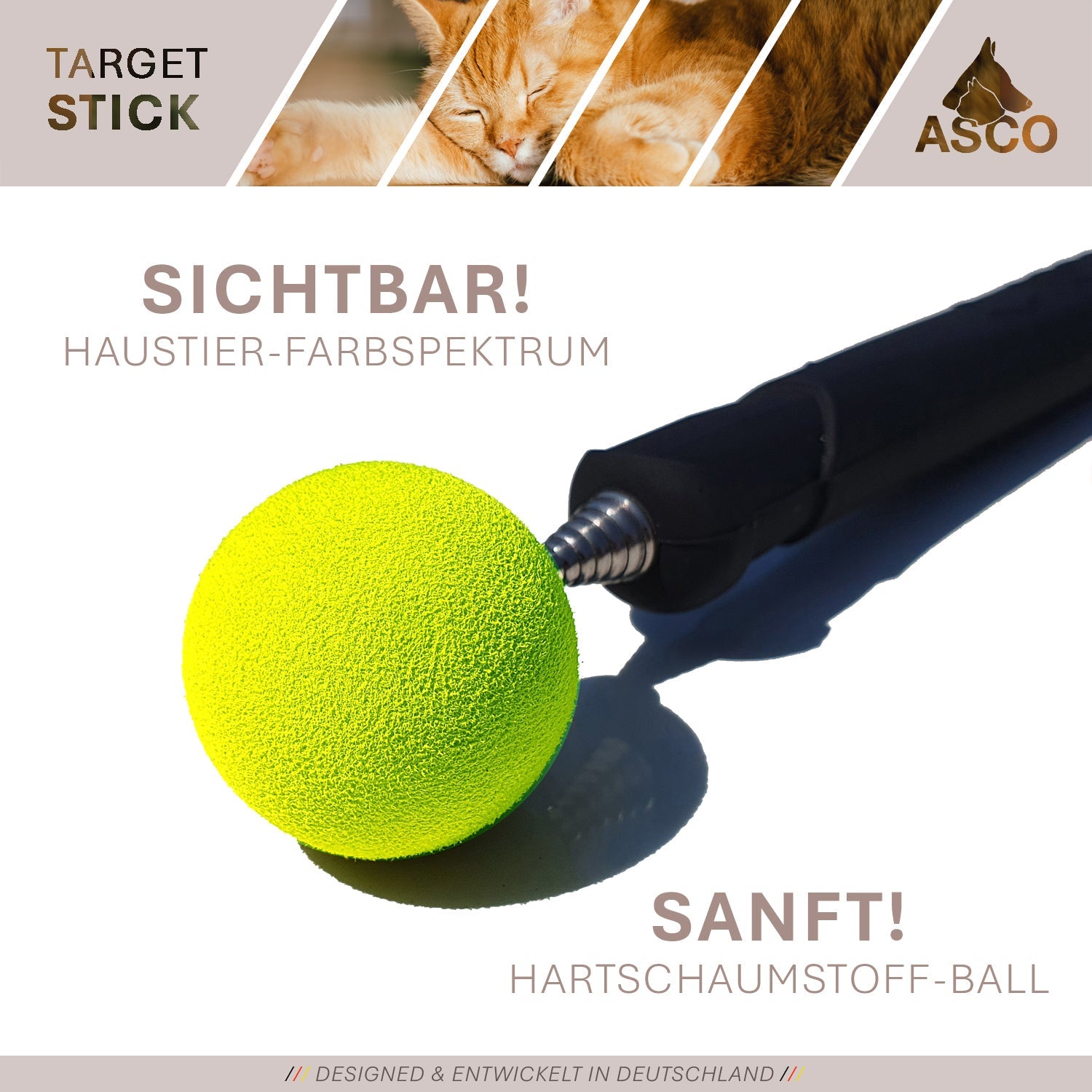 ASCO Target Stick - Hunde und Katzen Teleskopstab mit Softball