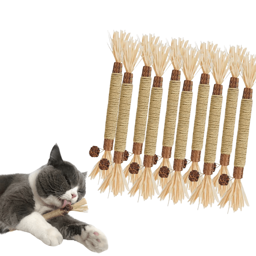 ZAHNLIEBE - Die Katzen Zahnpflege für gesunde Zähne