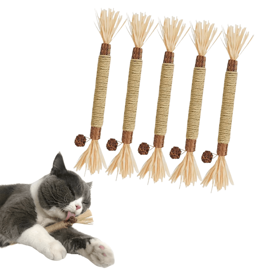 ZAHNLIEBE - Die Katzen Zahnpflege für gesunde Zähne
