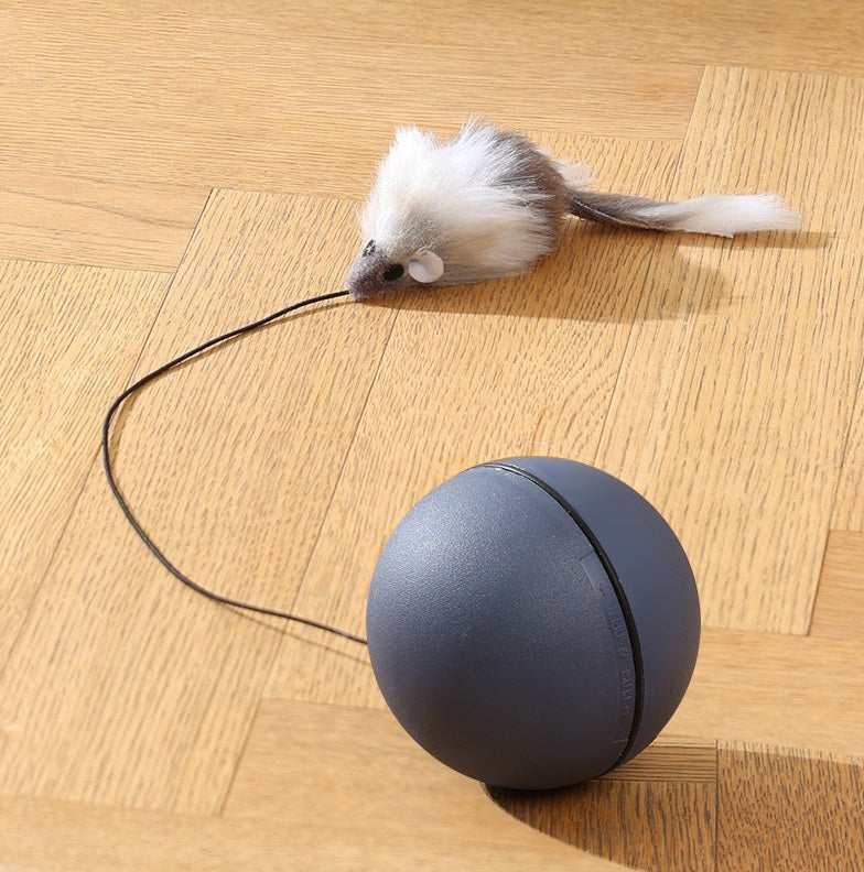MAUSBALL - interaktives Katzenspielzeug, Ball für Katzen, Selbstbeschäftigung & Bewegung